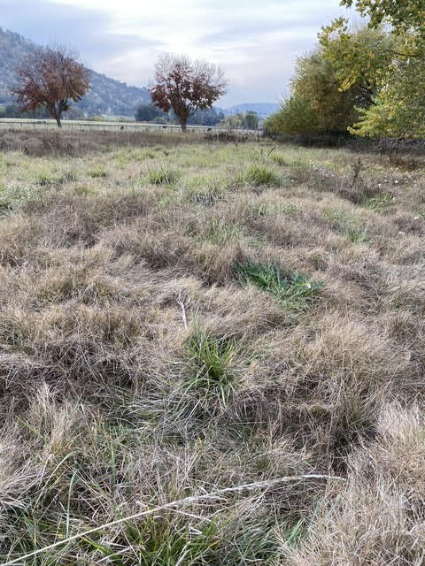 0 Globe Dr, Springville, CA 93265