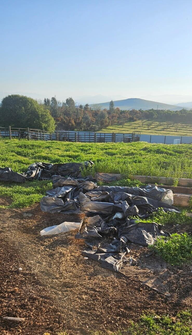 0 Ave 92, Terra Bella, CA 93270