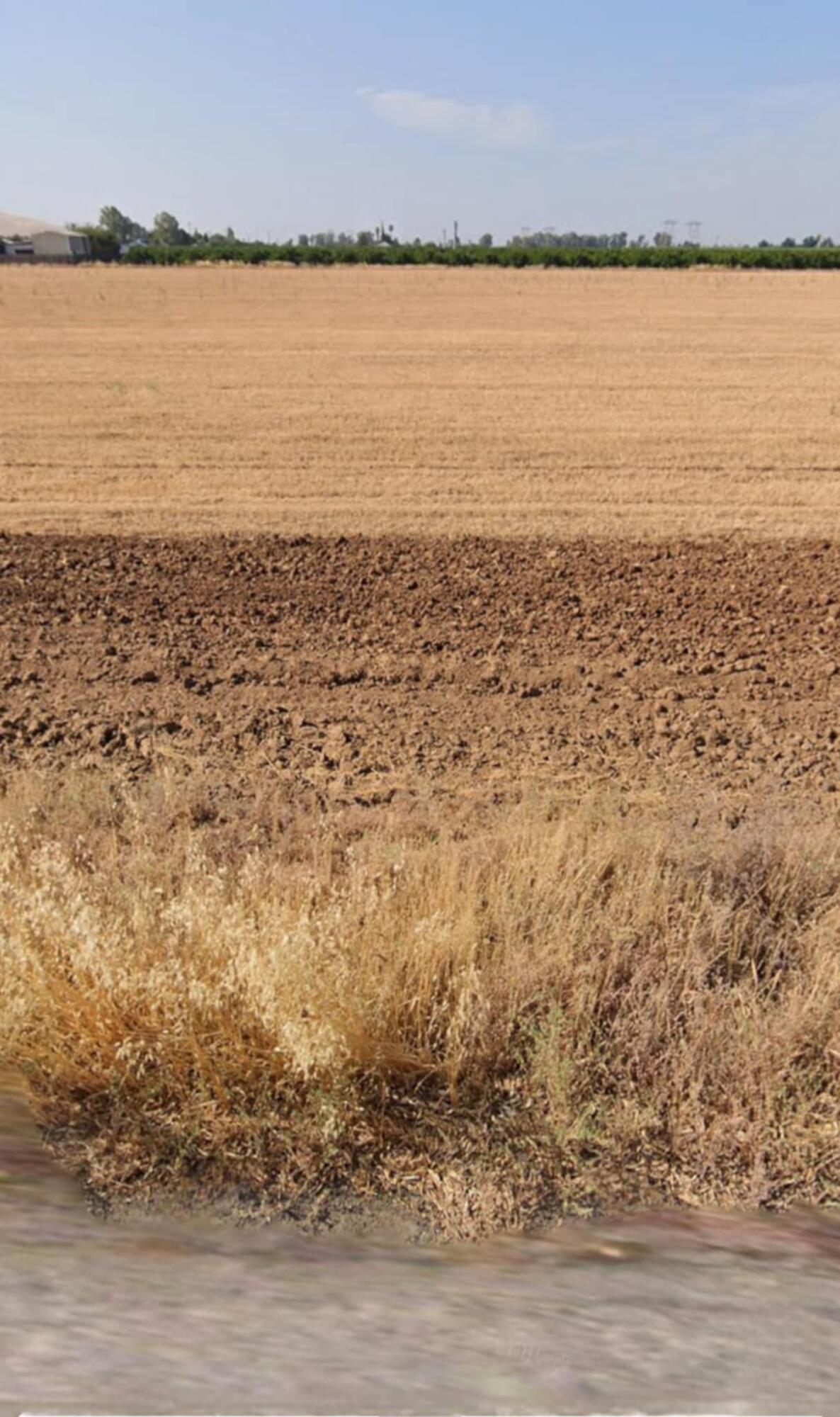 0 Ave 428, Orosi, CA 93647