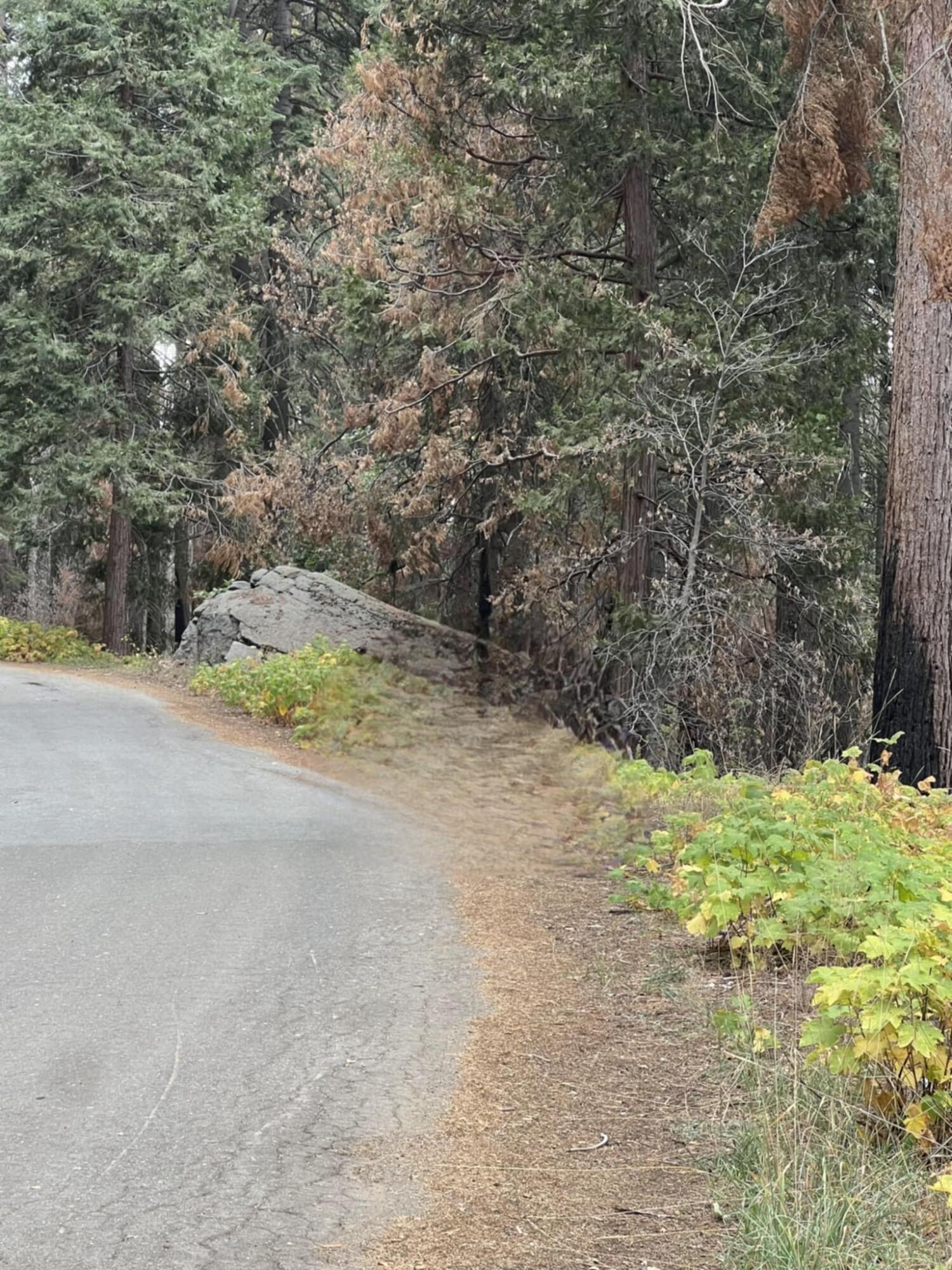 54864 Alder Dr, Springville, CA 93265