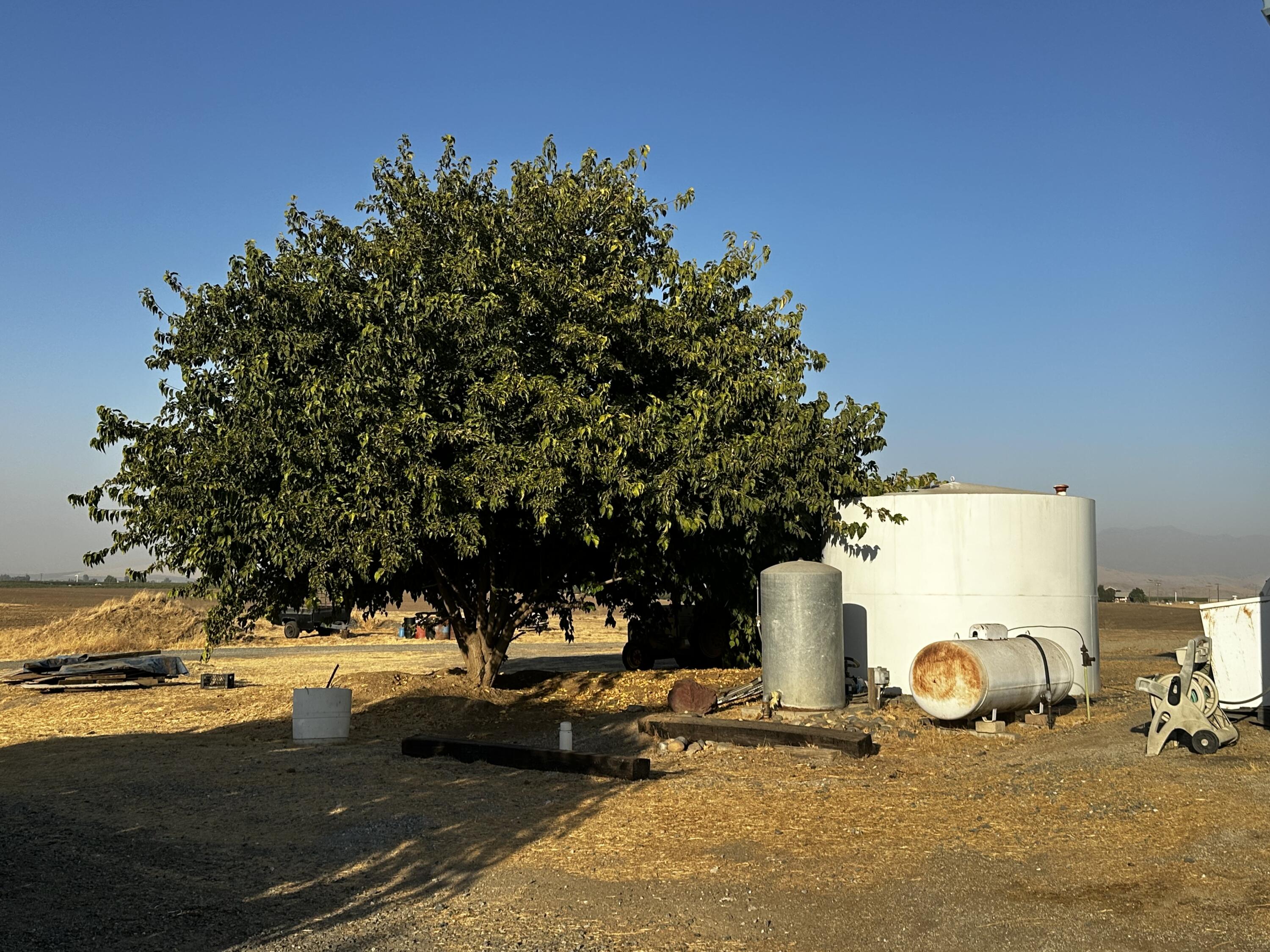 24470 60 Ave, Ducor, CA 93218