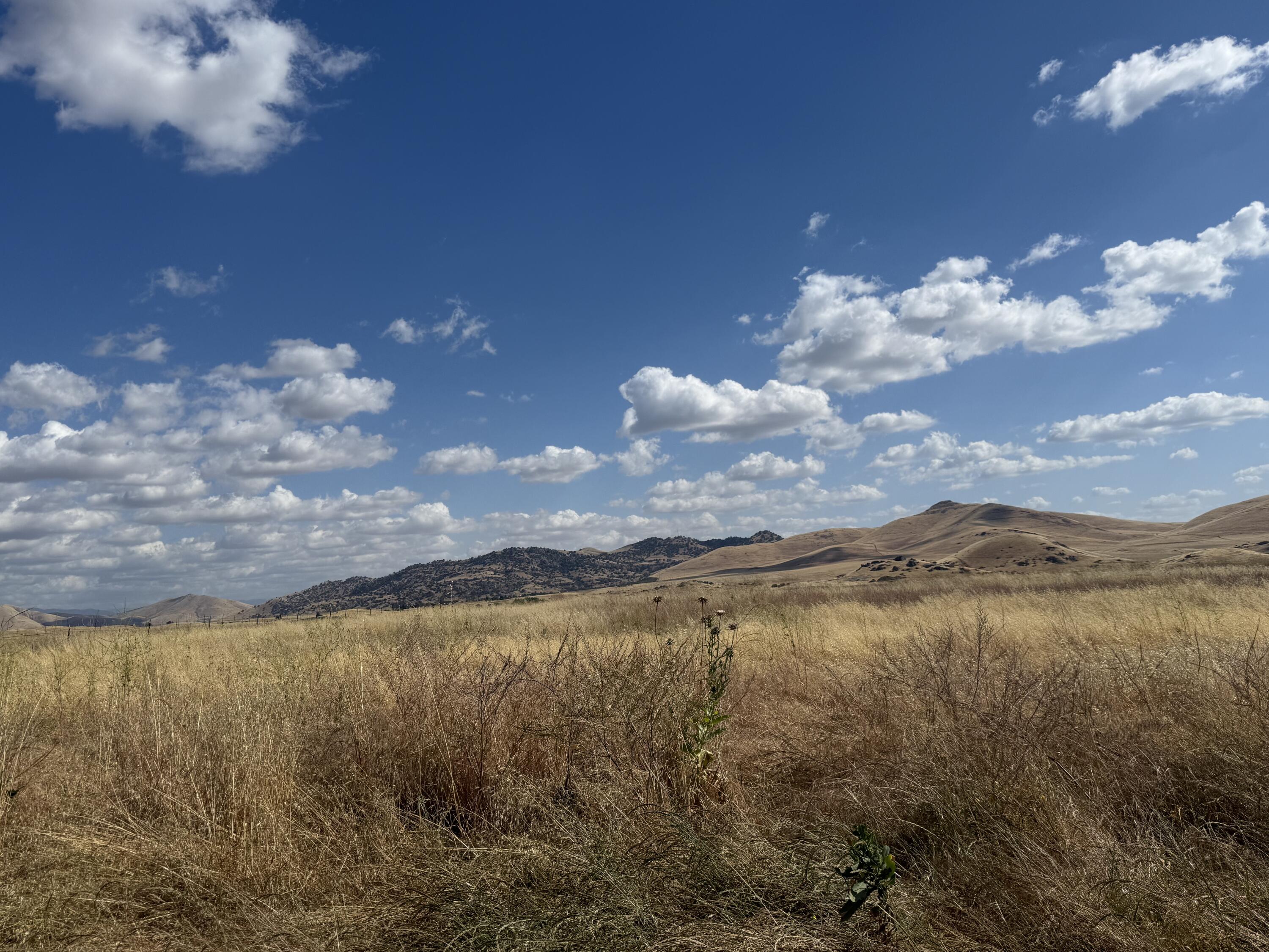 27057 Ave 196, Strathmore, CA 93267