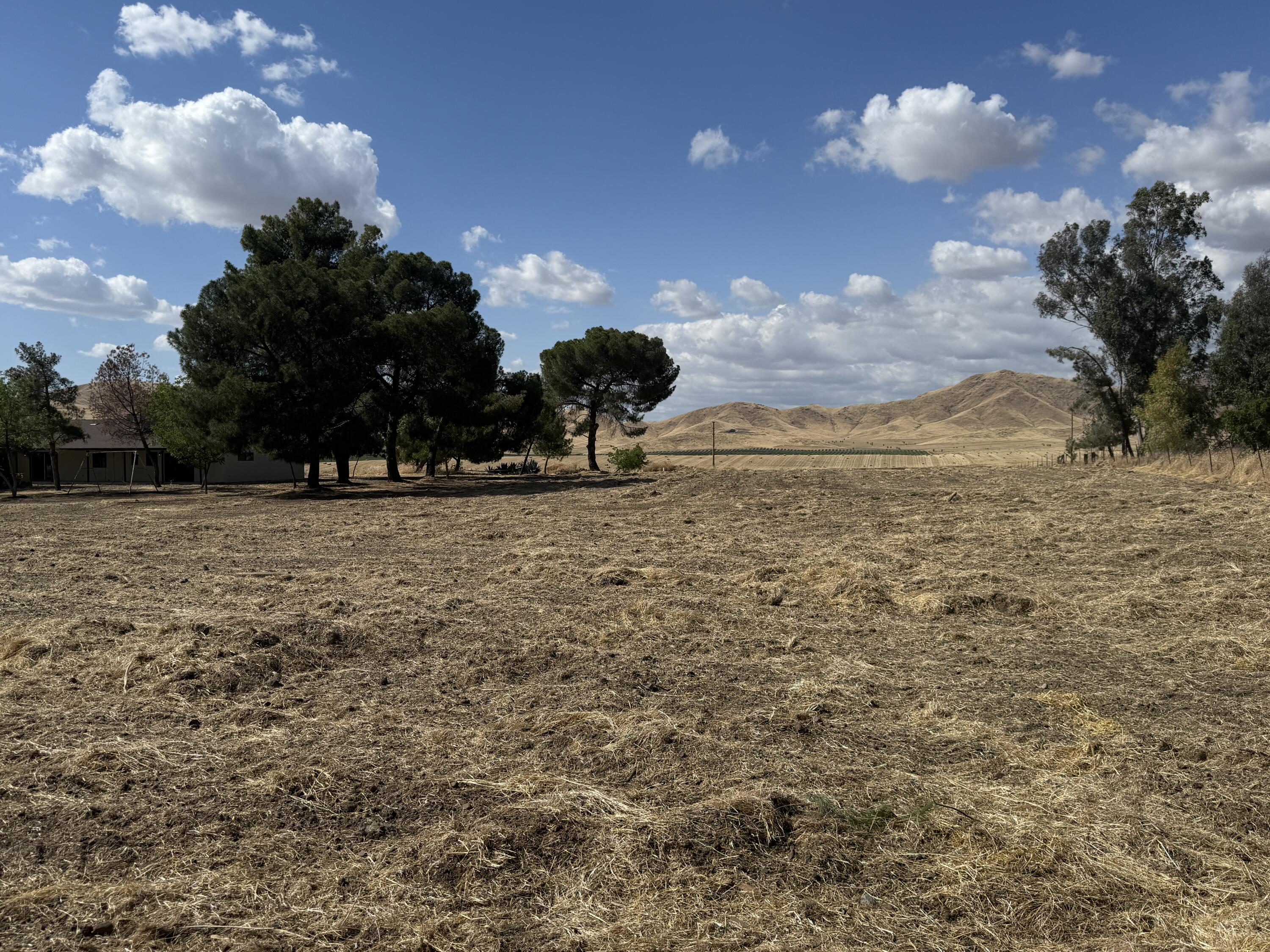 27057 Ave 196, Strathmore, CA 93267