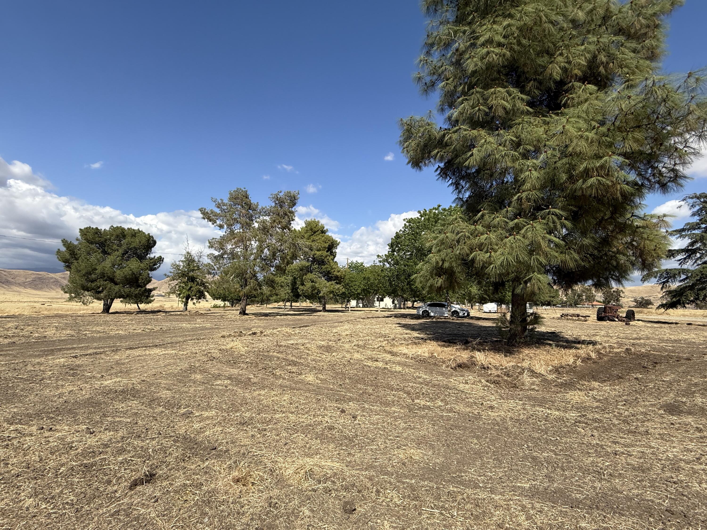 27057 Ave 196, Strathmore, CA 93267