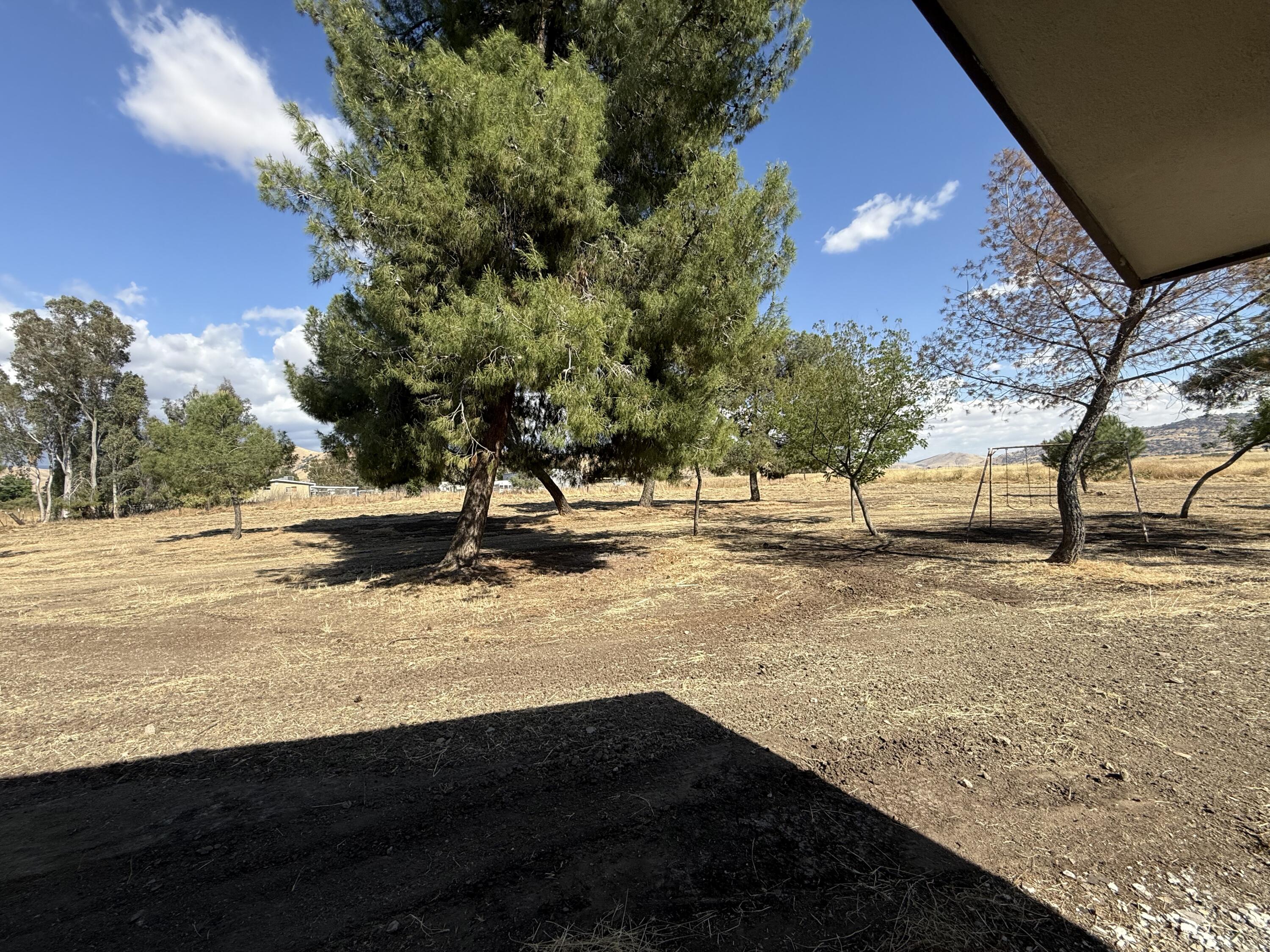 27057 Ave 196, Strathmore, CA 93267