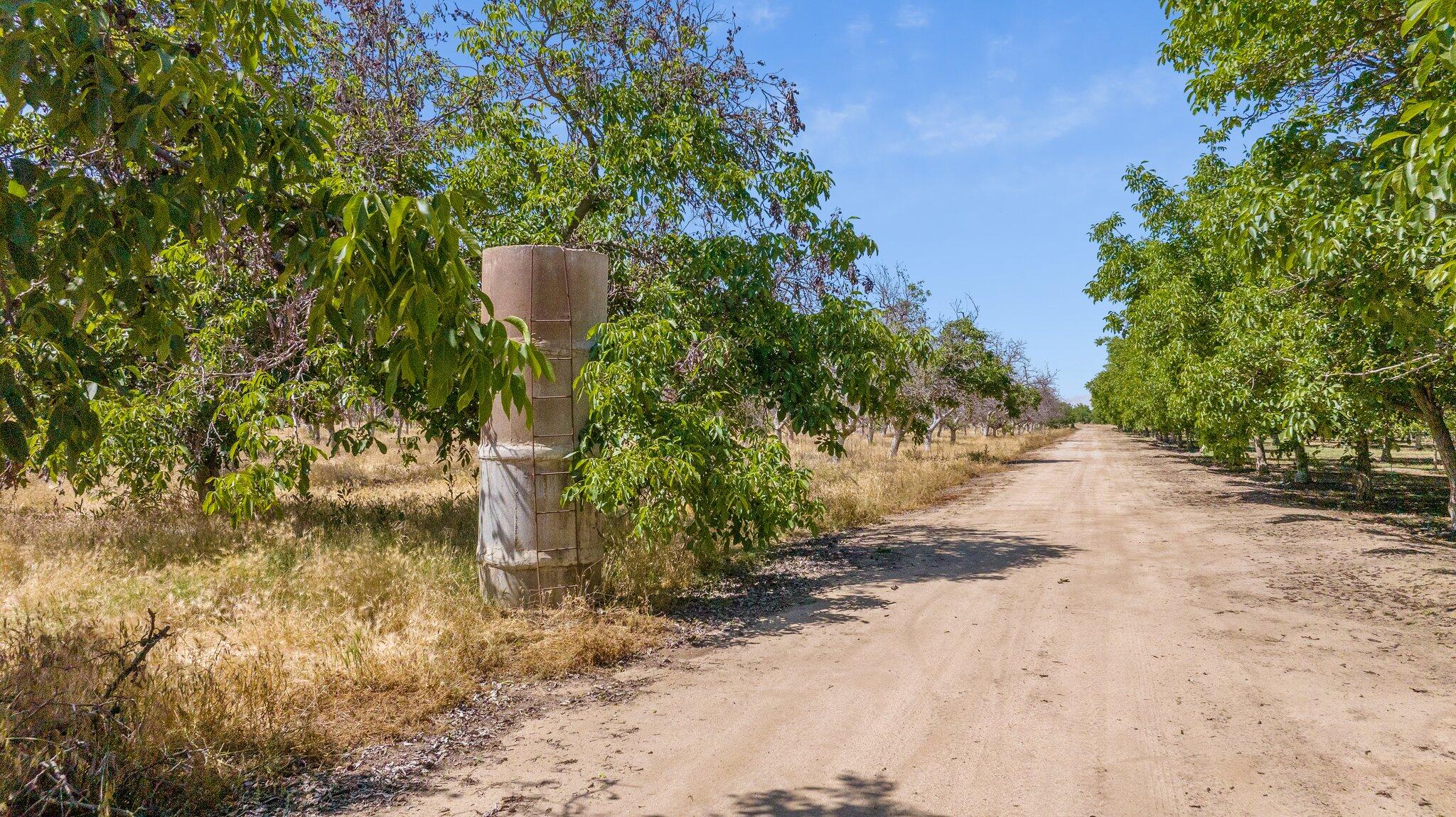 0 Ave 320, Ivanhoe, CA 93235