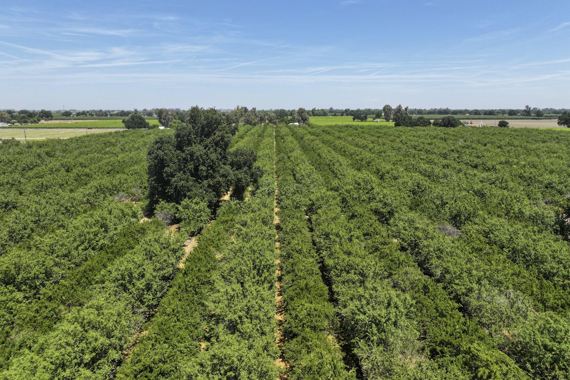 9415 21st Ave, Lemoore, CA 93245