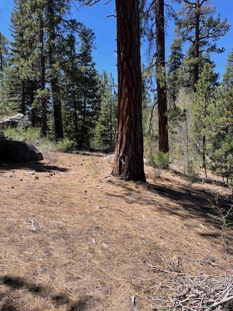 58303 Carter Dr, Ponderosa, CA 93265