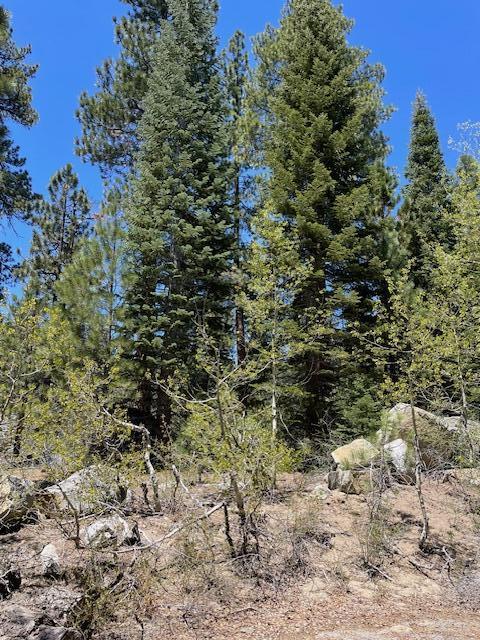 58303 Carter Dr, Ponderosa, CA 93265