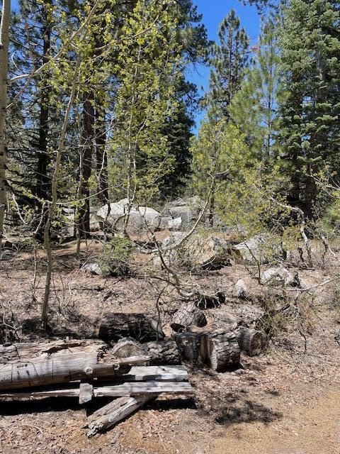 58303 Carter Dr, Ponderosa, CA 93265