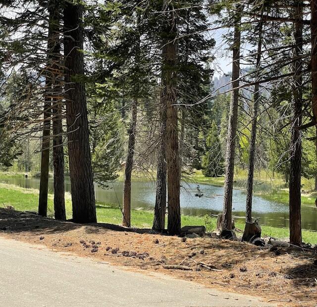 57229 Ponderosa Dr, Ponderosa, CA 93265