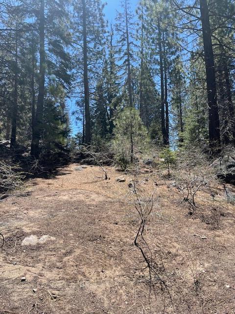 57229 Ponderosa Dr, Ponderosa, CA 93265