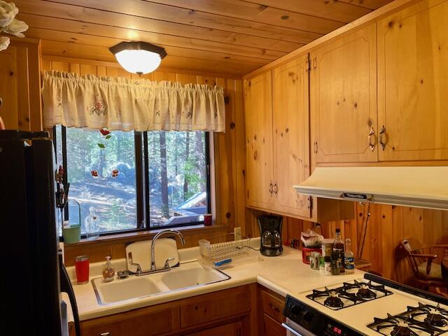 57229 Ponderosa Dr, Ponderosa, CA 93265