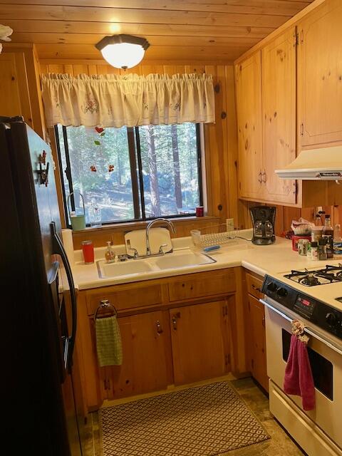 57229 Ponderosa Dr, Ponderosa, CA 93265