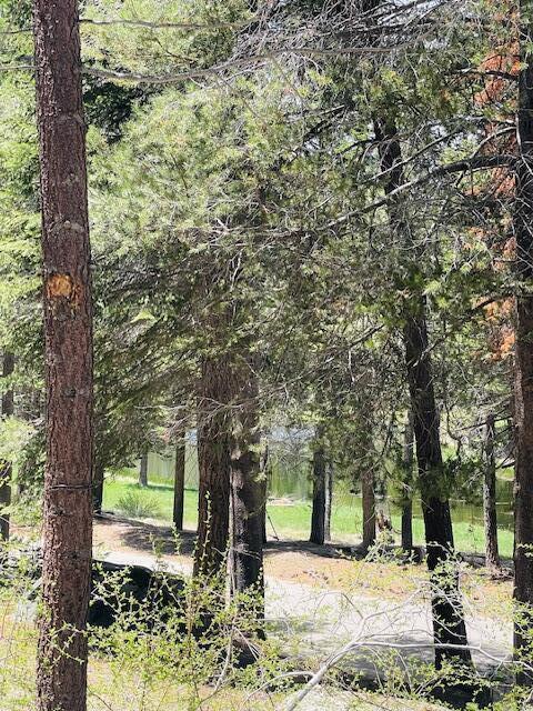 57229 Ponderosa Dr, Ponderosa, CA 93265