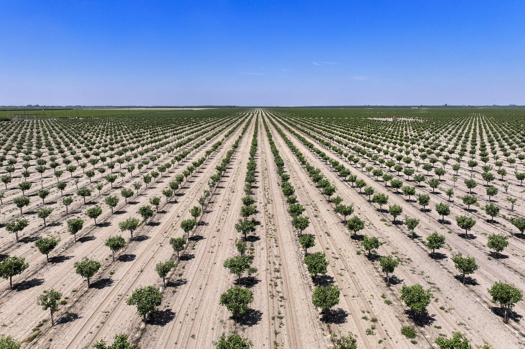 16495 S Minnewawa Ave, Selma, CA 93662