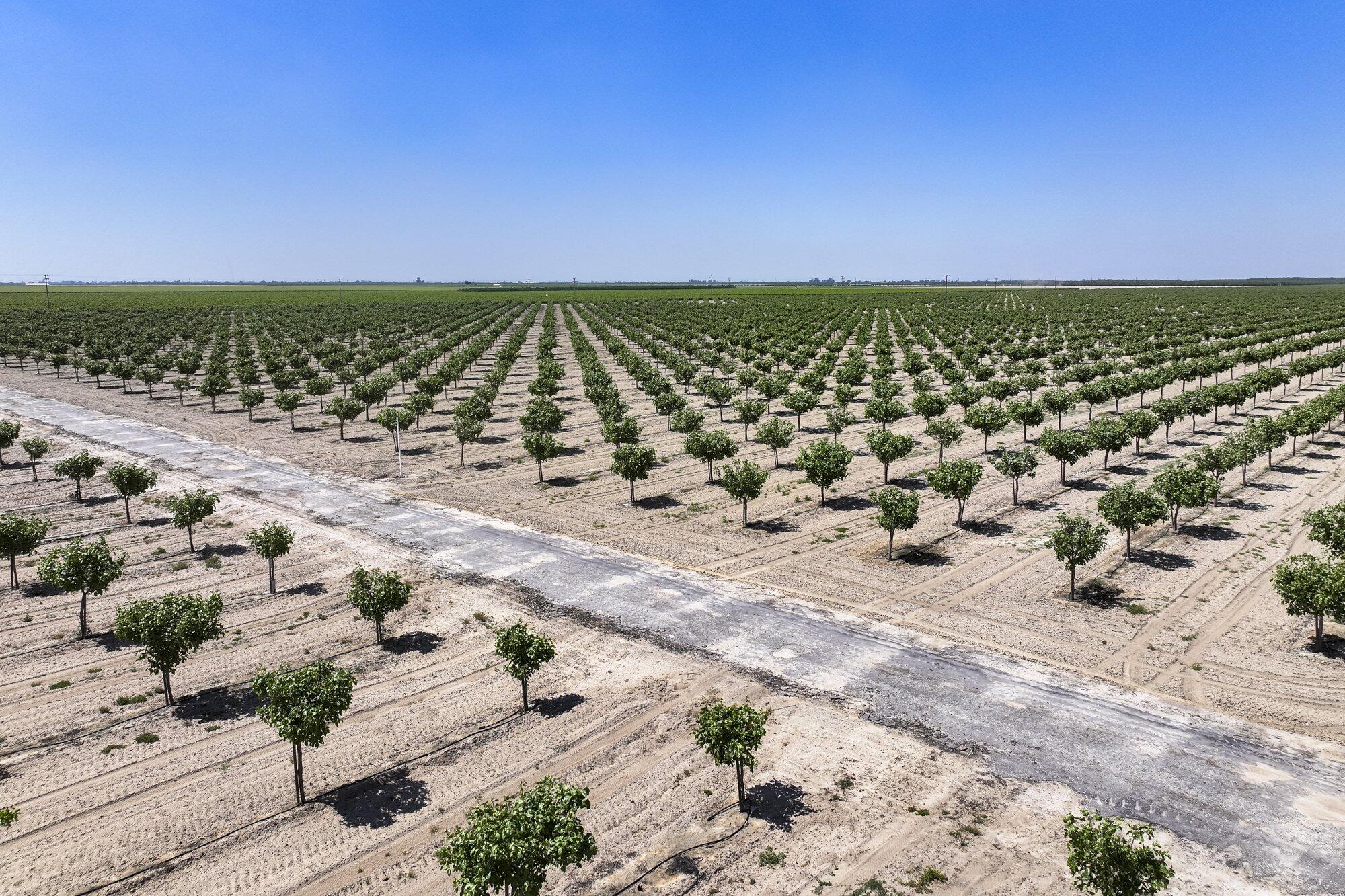 16495 S Minnewawa Ave, Selma, CA 93662