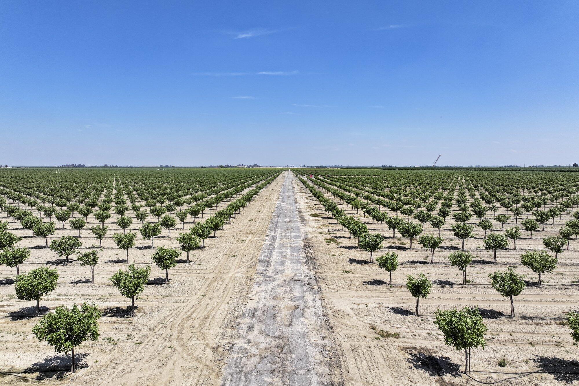 16495 S Minnewawa Ave, Selma, CA 93662