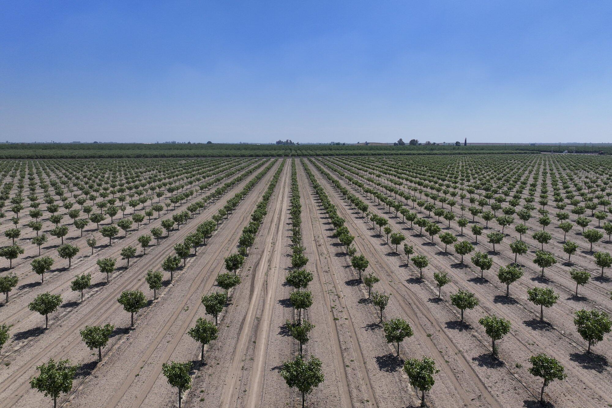 16495 S Minnewawa Ave, Selma, CA 93662