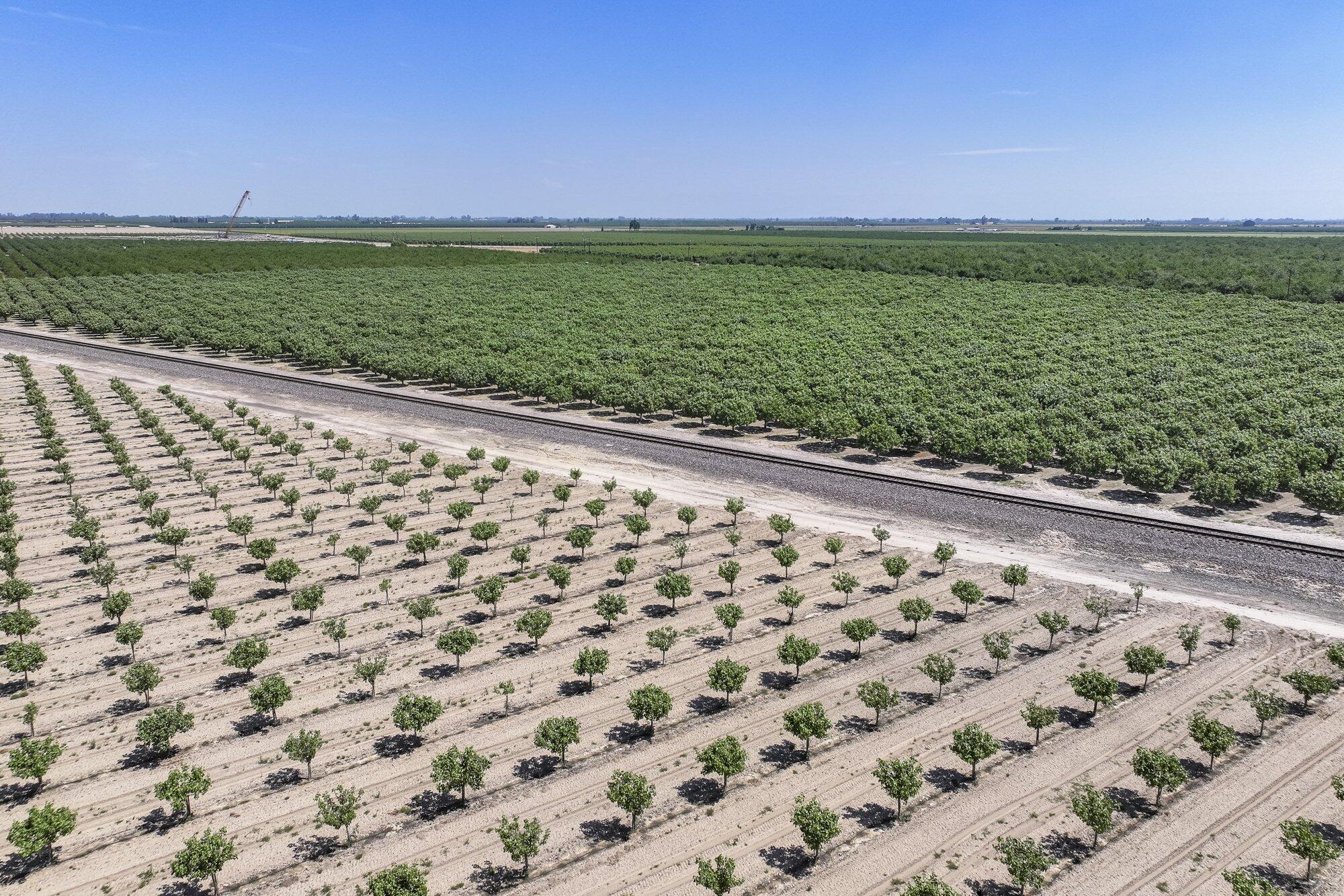 16495 S Minnewawa Ave, Selma, CA 93662