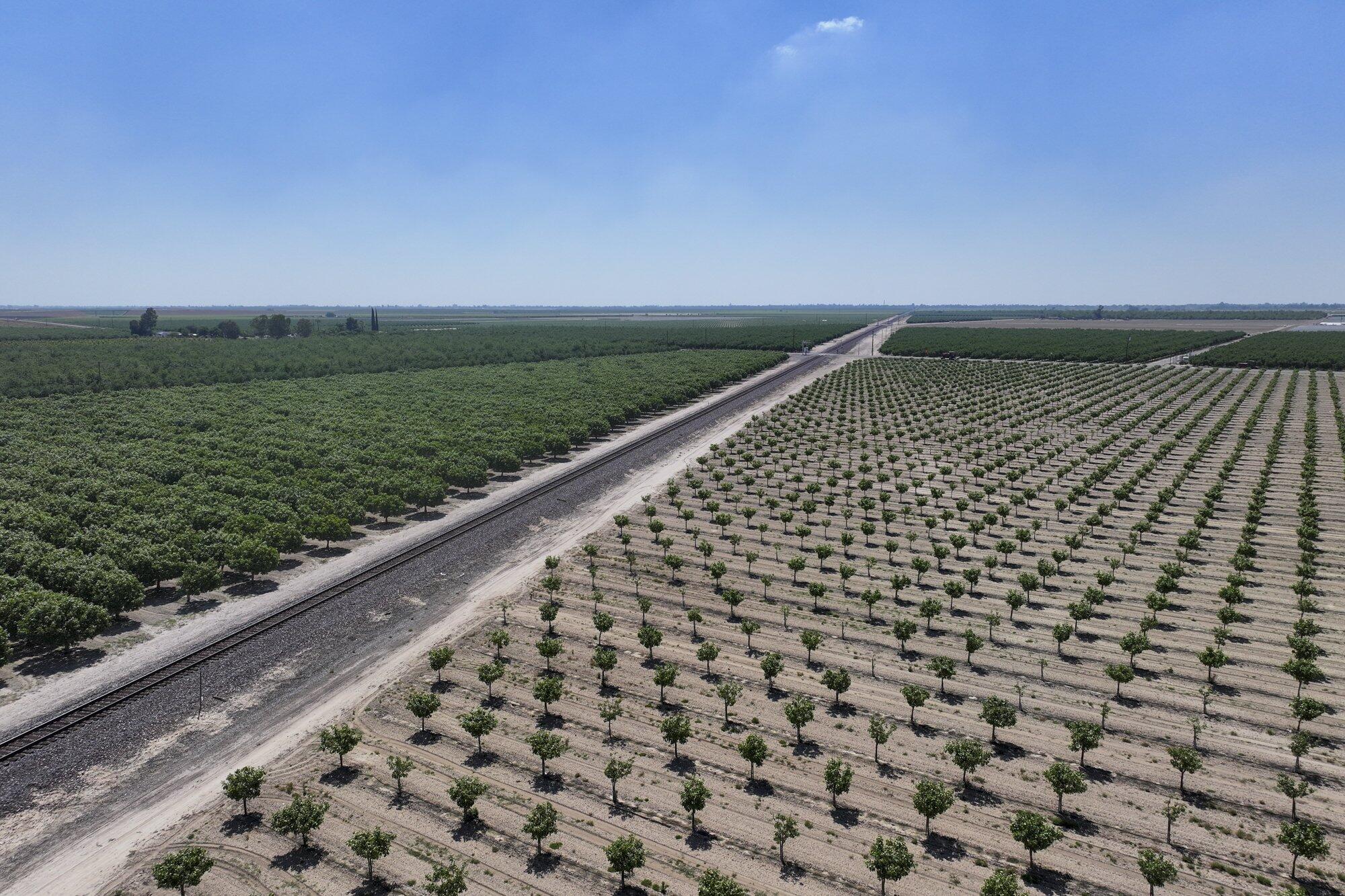 16495 S Minnewawa Ave, Selma, CA 93662