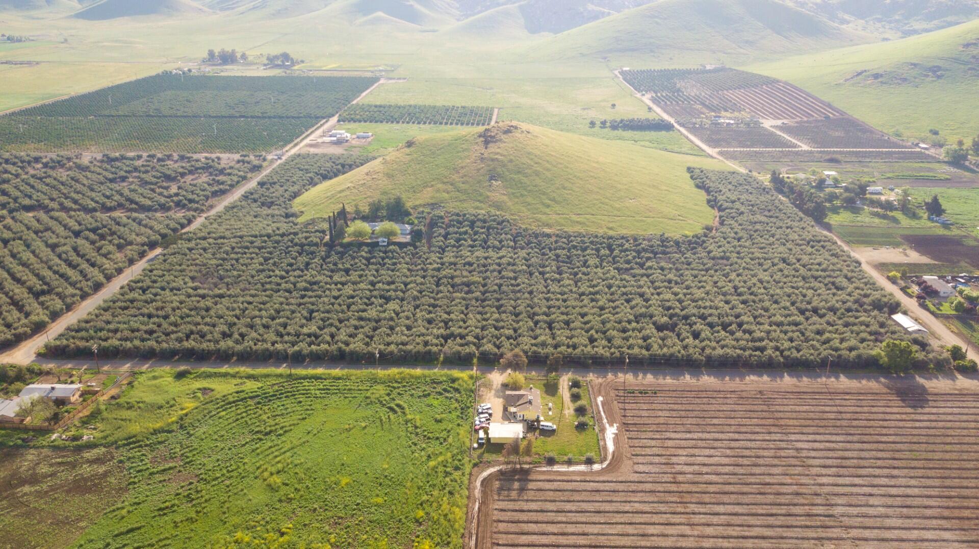 0 Avenue 234, Lindsay, CA 93247