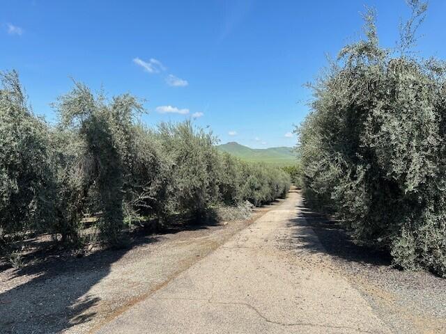 0 Avenue 234, Lindsay, CA 93247