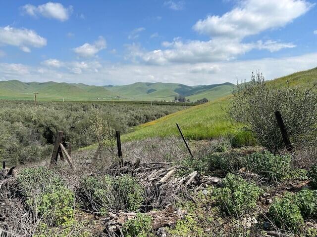 0 Avenue 234, Lindsay, CA 93247