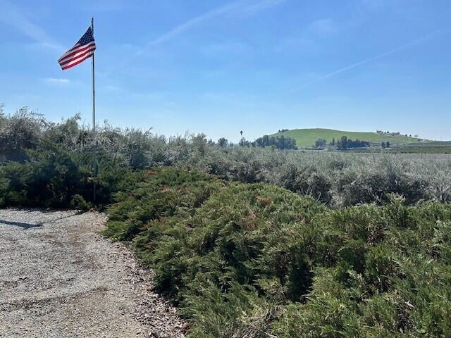 0 Avenue 234, Lindsay, CA 93247