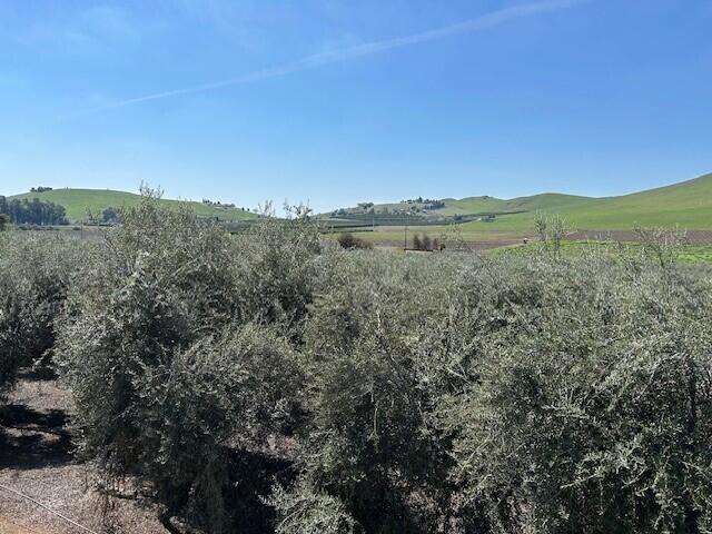 0 Avenue 234, Lindsay, CA 93247