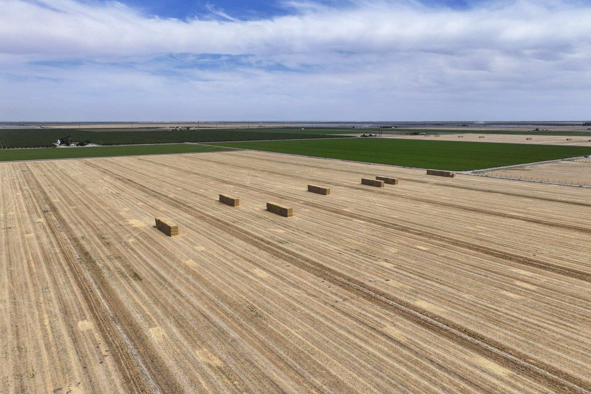 6089 Road 38, Alpaugh, CA 93201