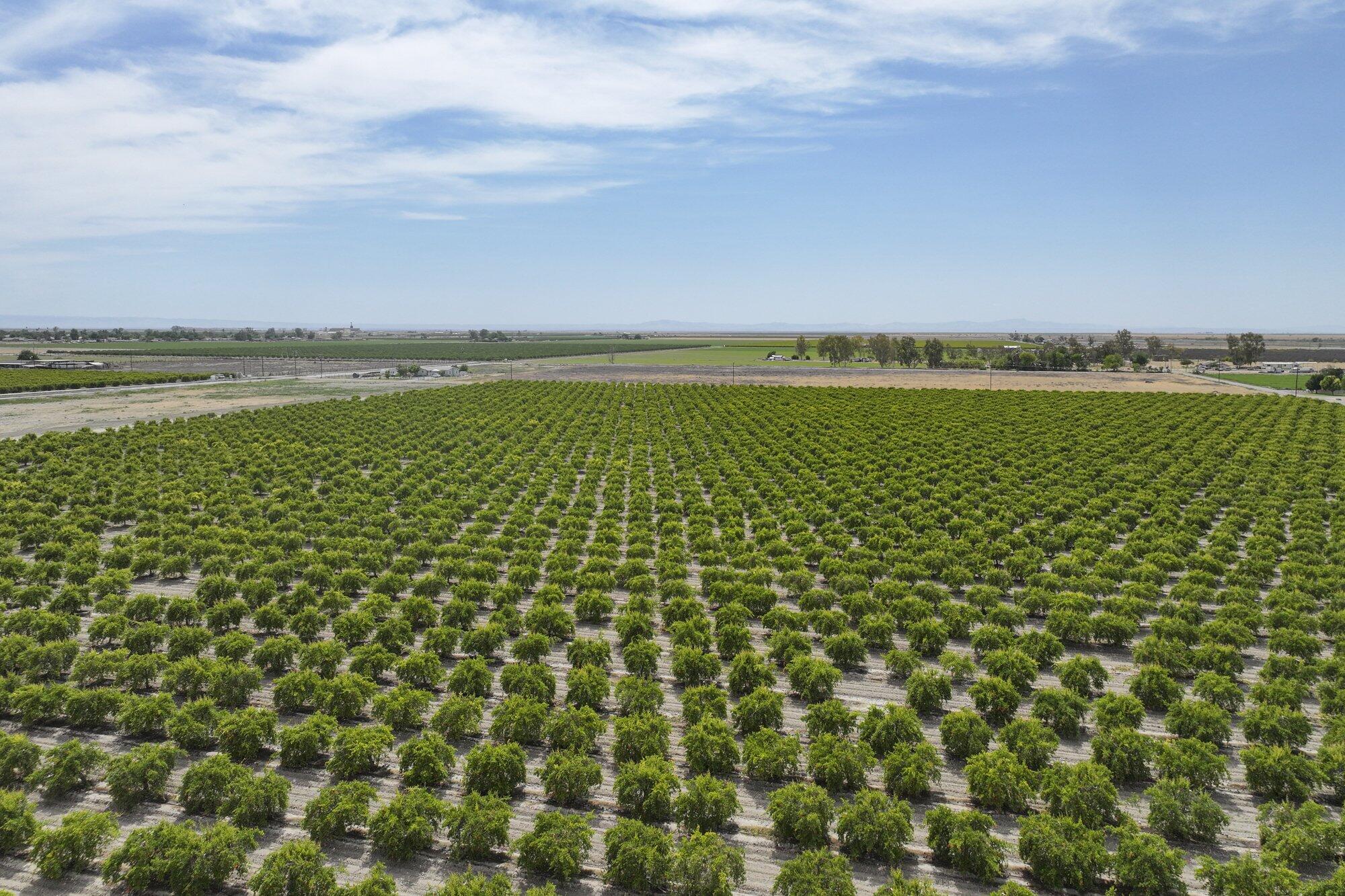 6089 Road 38, Alpaugh, CA 93201