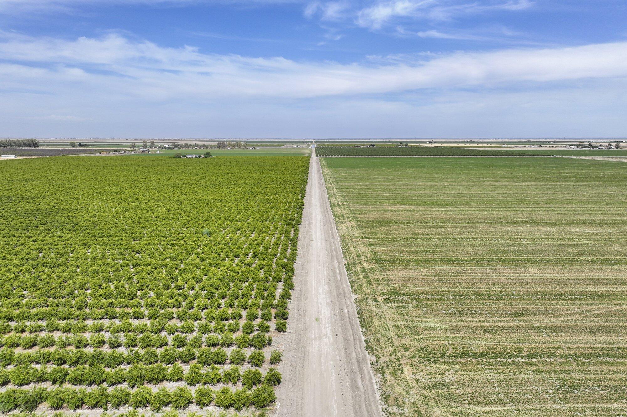 6089 Road 38, Alpaugh, CA 93201