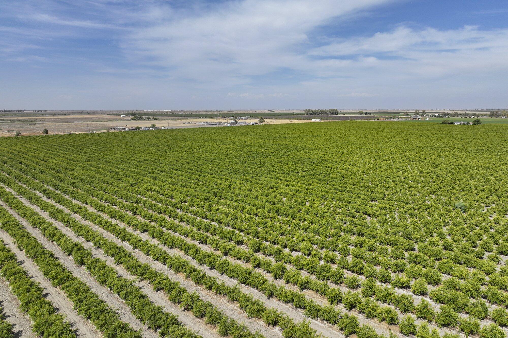 6089 Road 38, Alpaugh, CA 93201