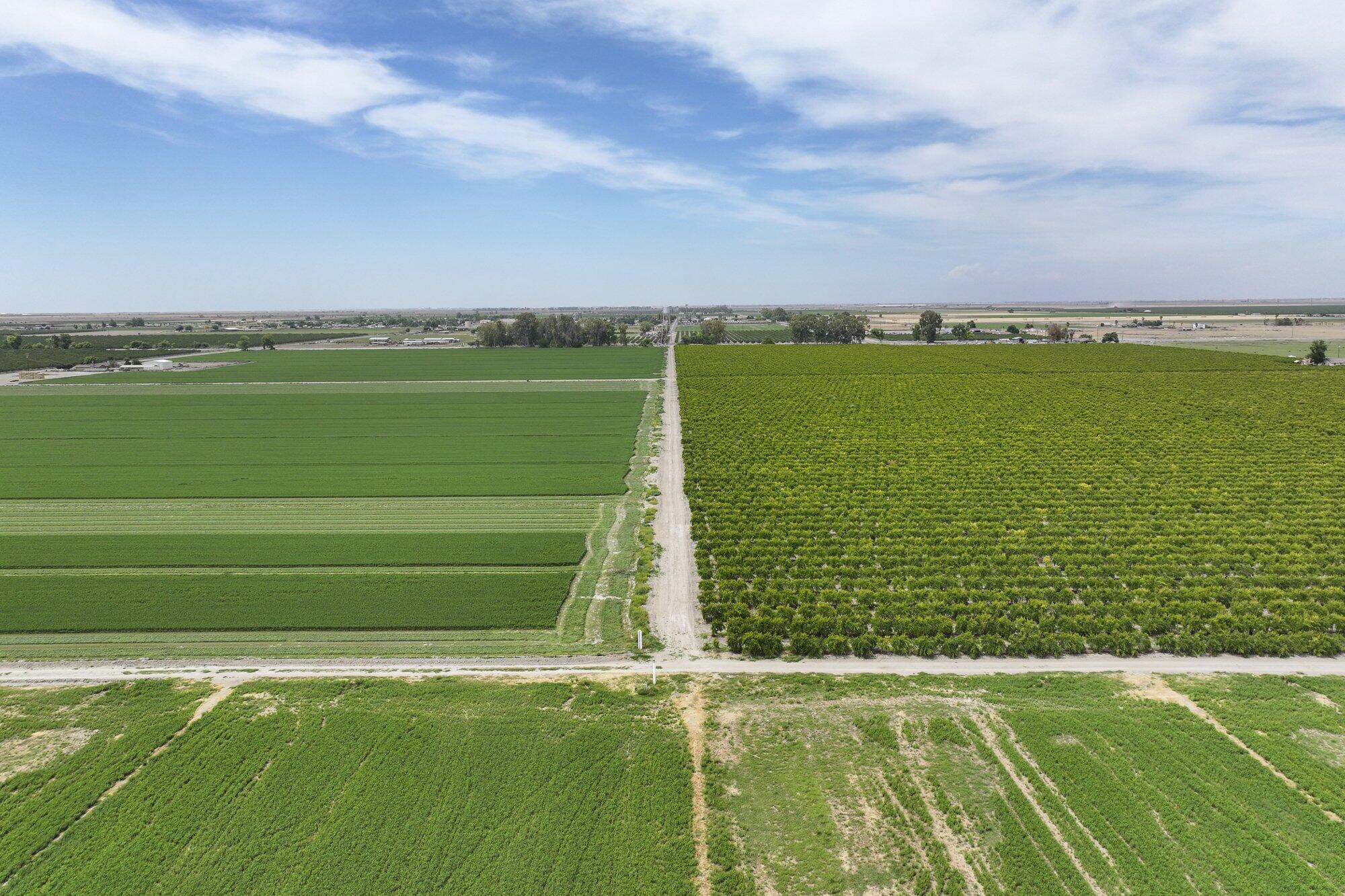 4617 Road 42, Alpaugh, CA 93201