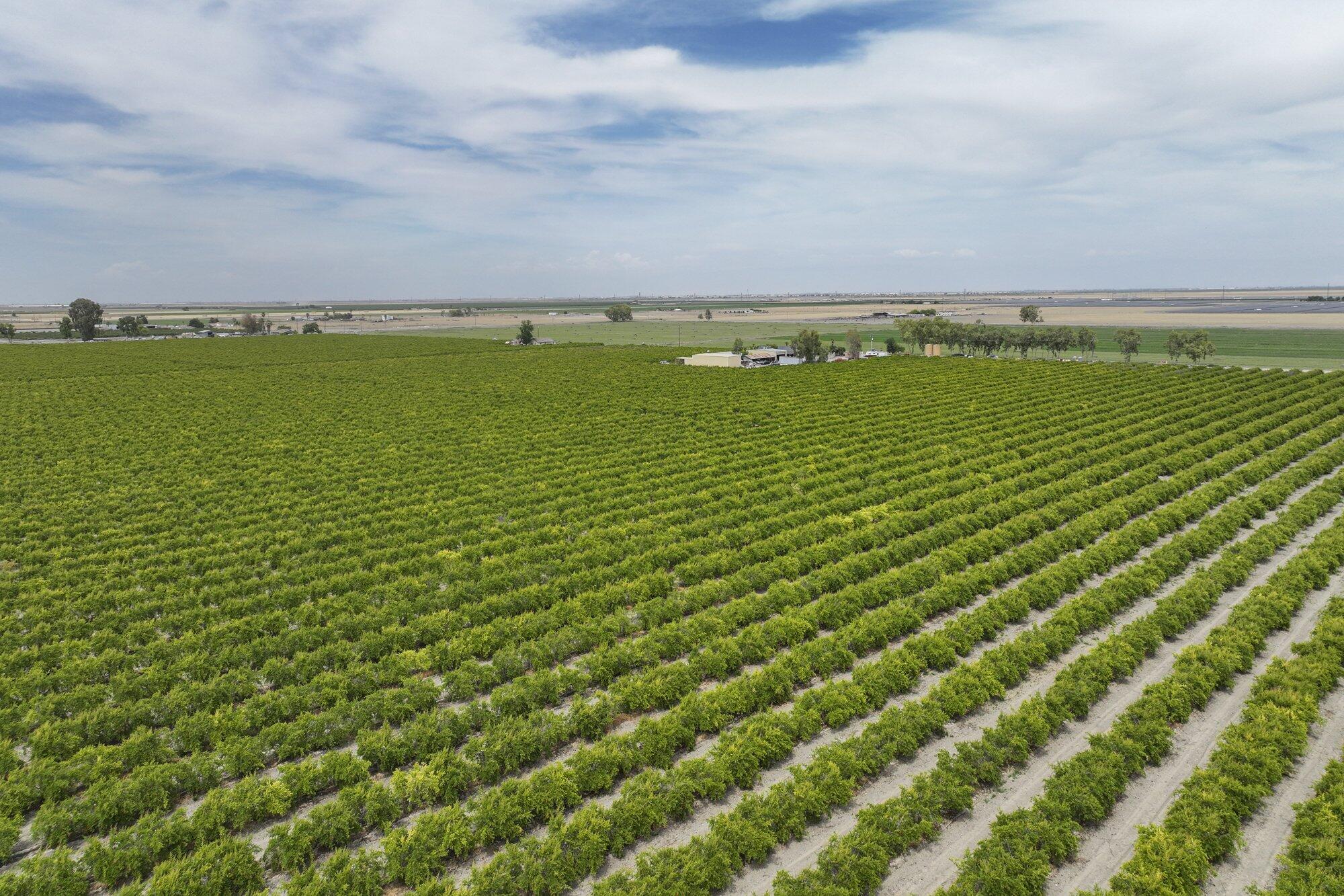 4617 Road 42, Alpaugh, CA 93201