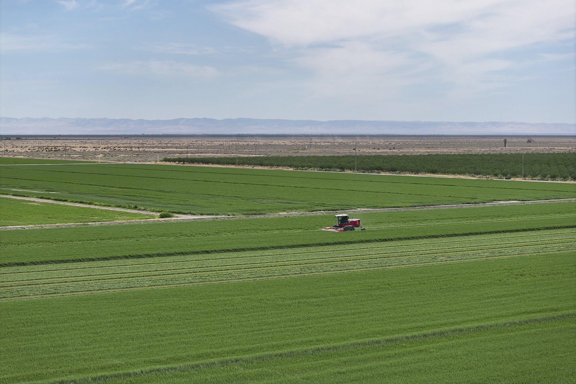 4617 Road 42, Alpaugh, CA 93201