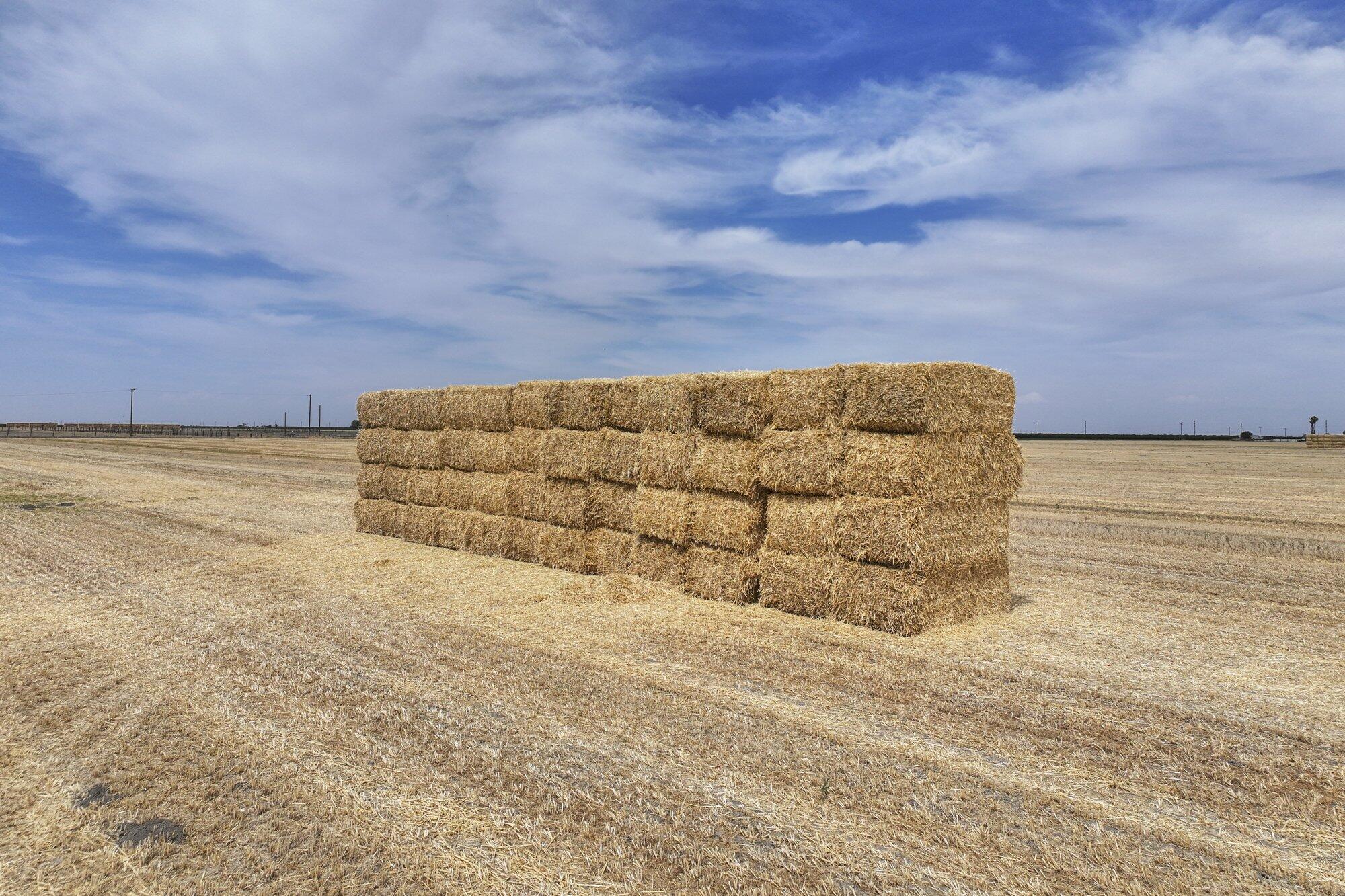 4617 Road 42, Alpaugh, CA 93201