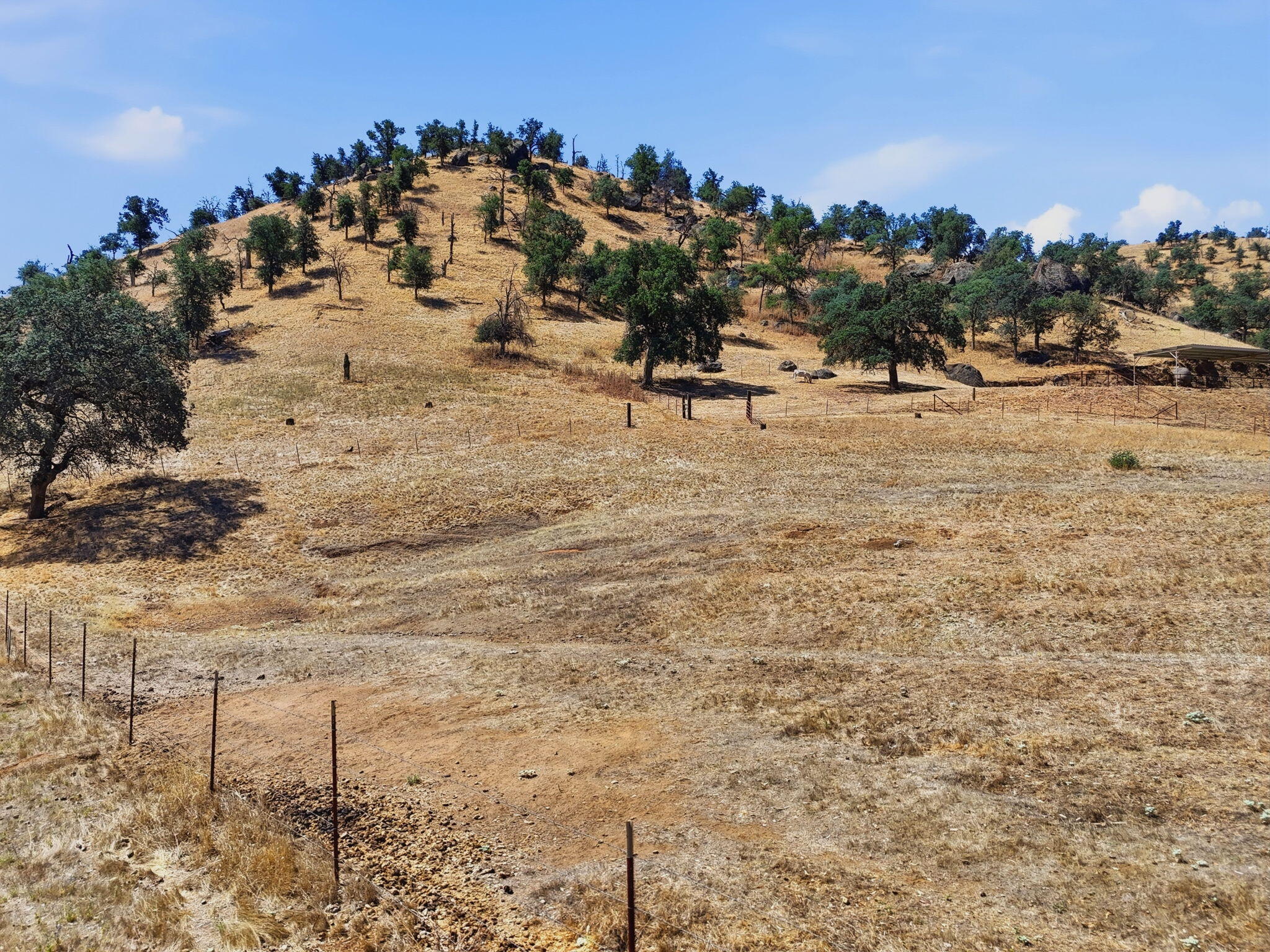 31161 Meadowlark Ln, Springville, CA 93265