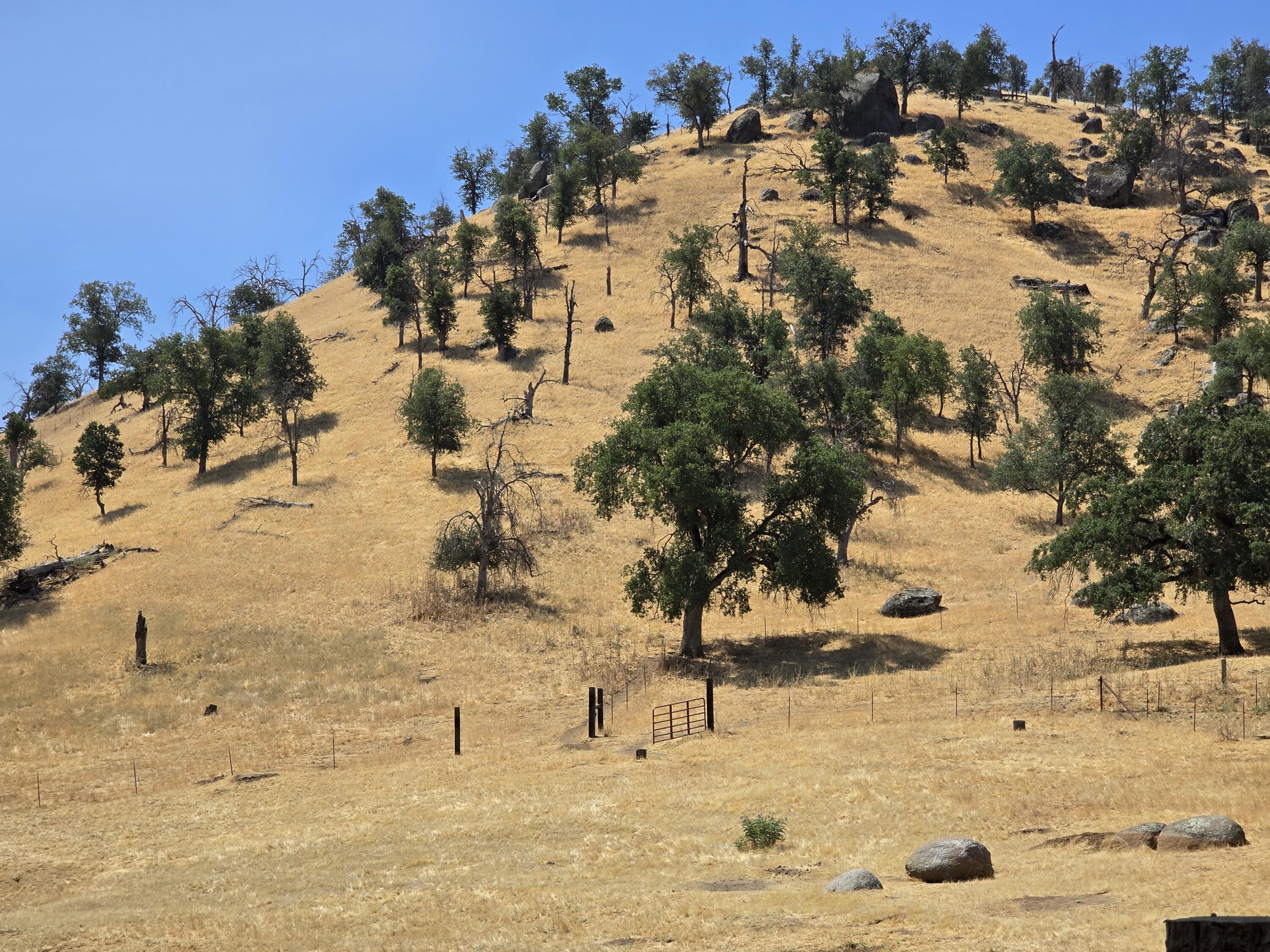 0 Meadowlark Ln #C, Springville, CA 93265