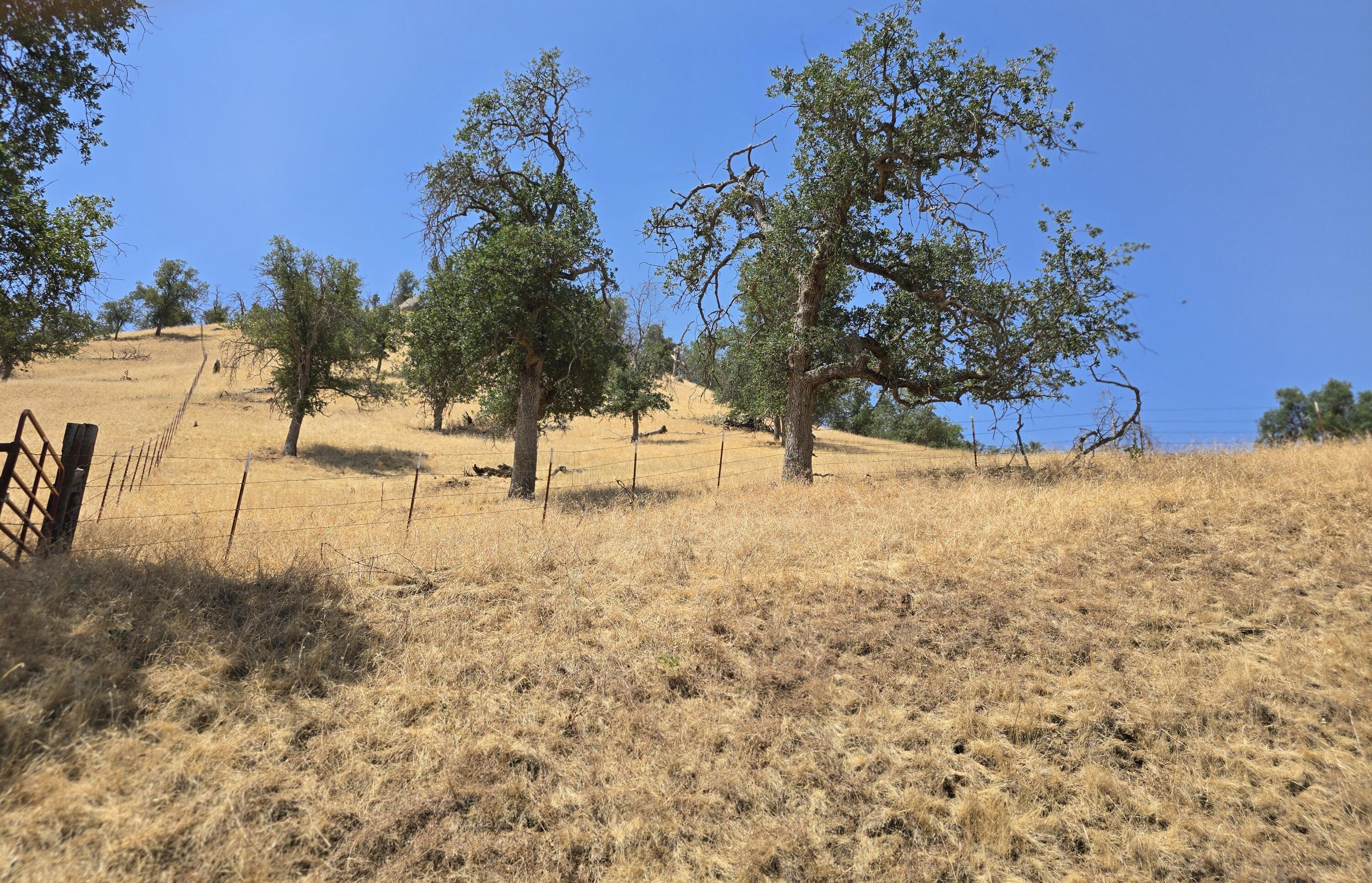 0 Meadowlark Ln #C, Springville, CA 93265