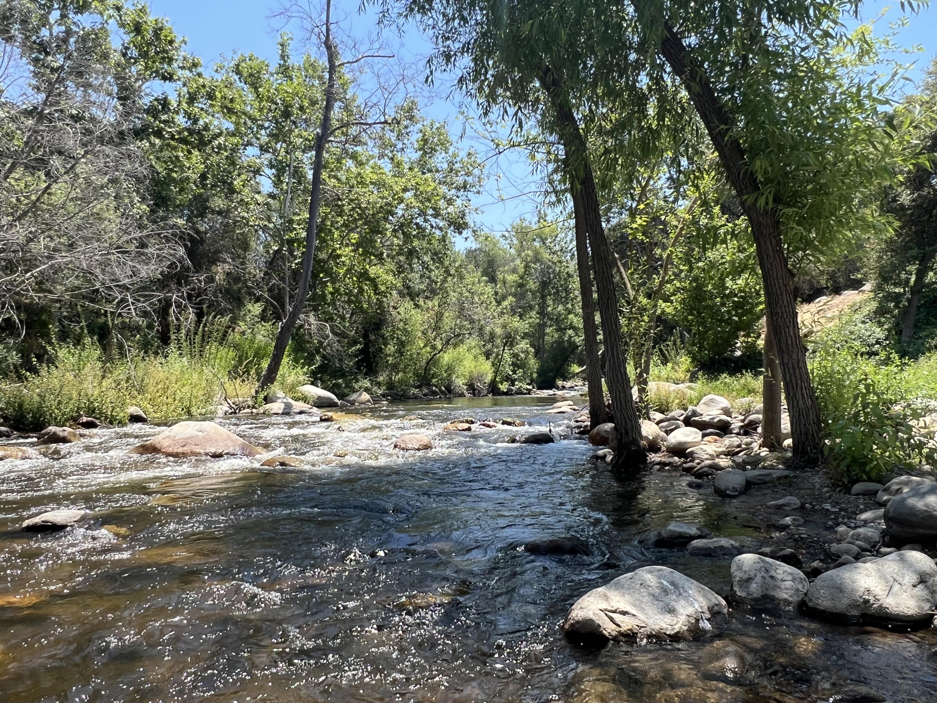 44575 S Fork Dr, Three Rivers, CA 93271