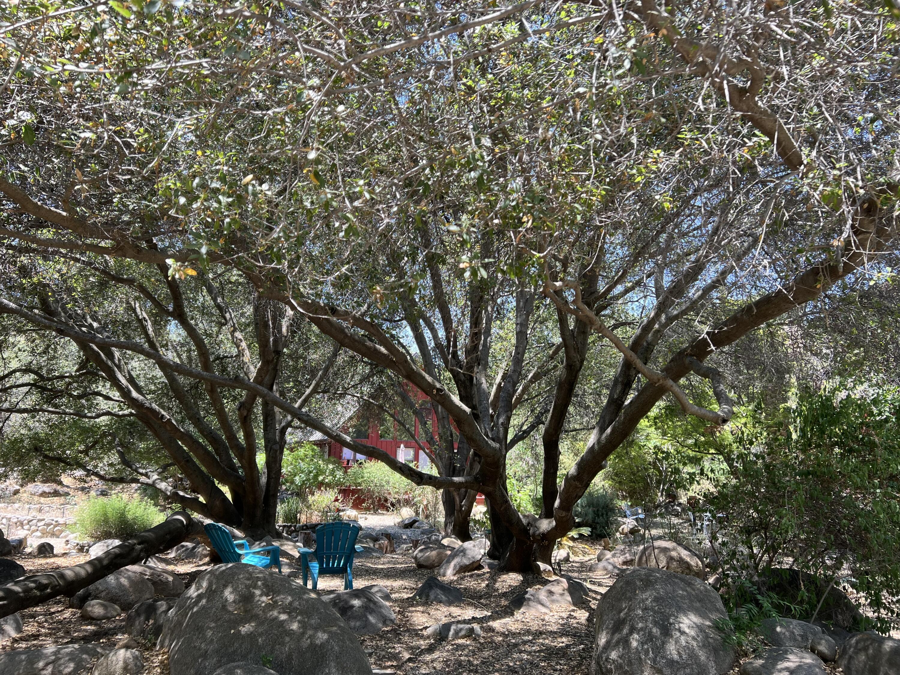 44575 S Fork Dr, Three Rivers, CA 93271