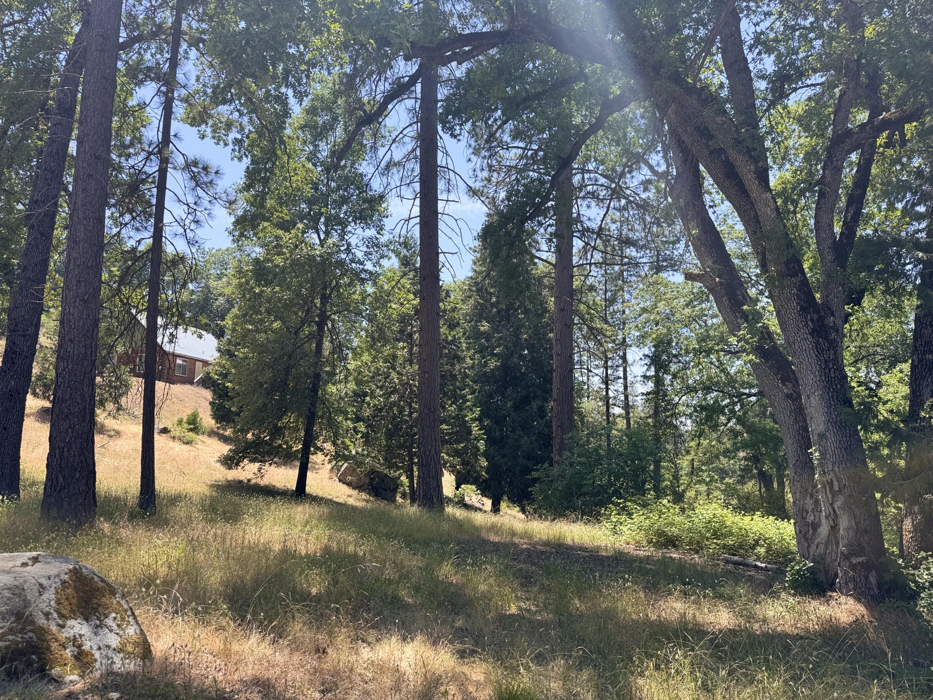 51911 Hogback Rd, Miramonte, CA 93641