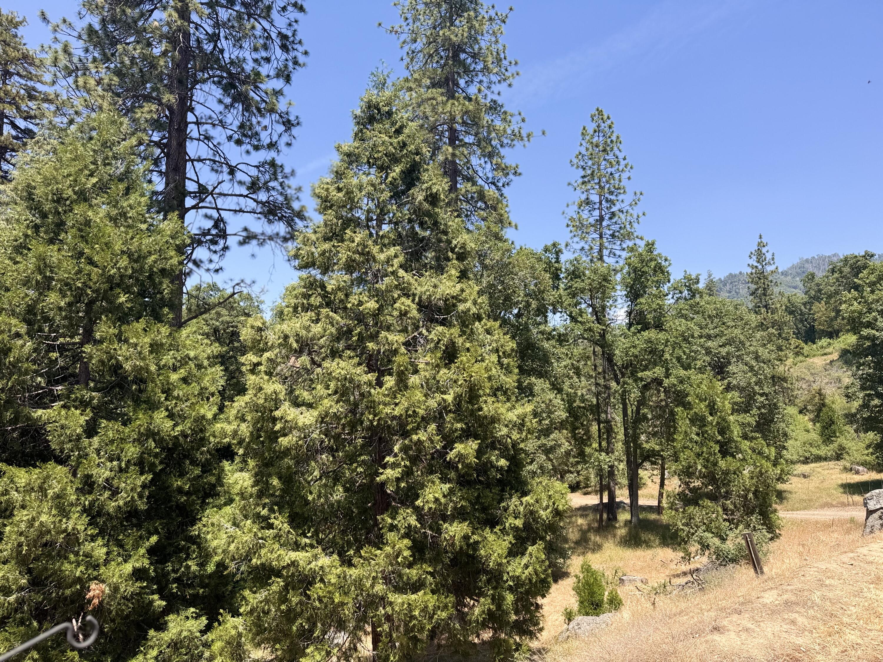 51911 Hogback Rd, Miramonte, CA 93641