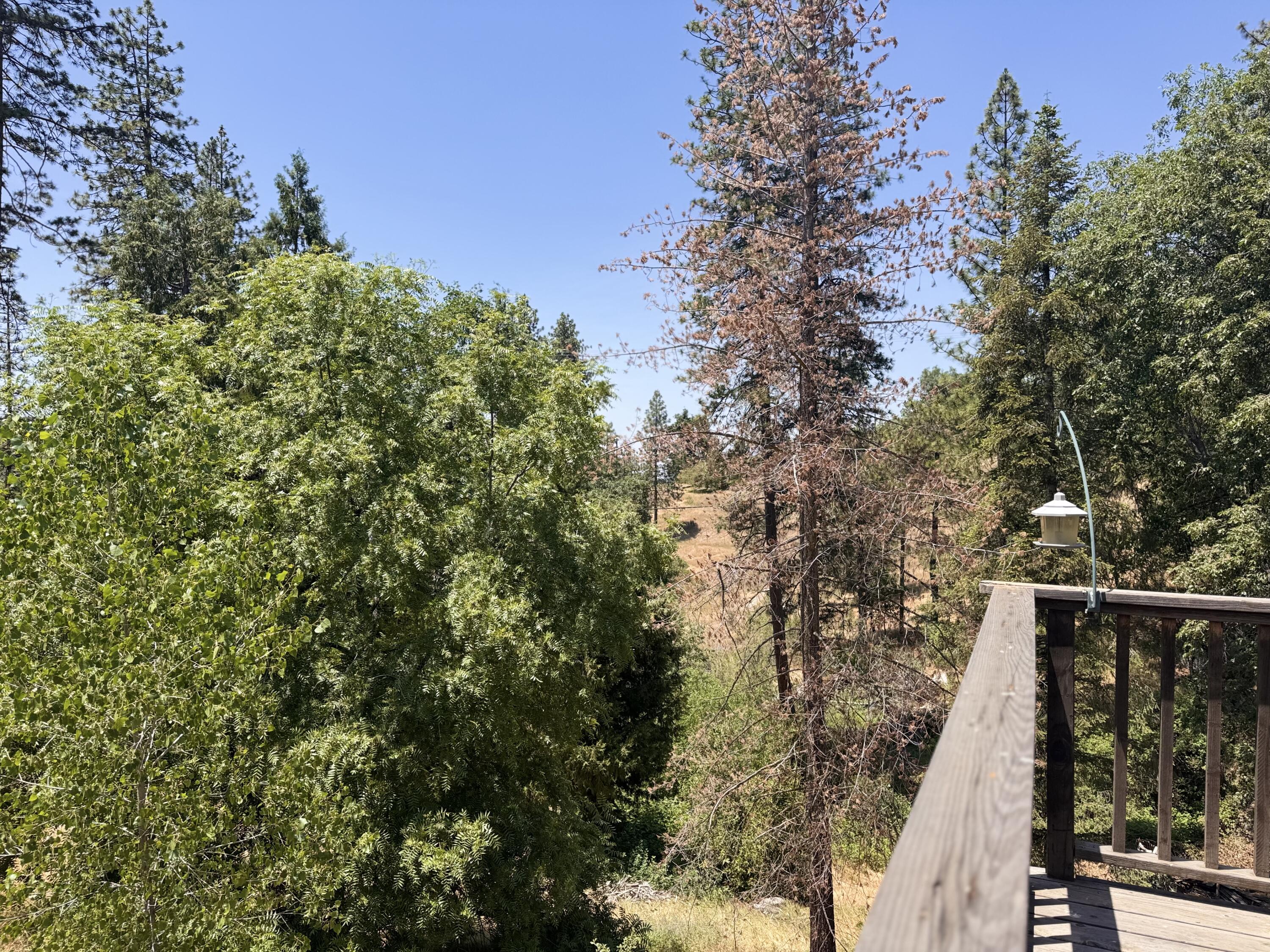 51911 Hogback Rd, Miramonte, CA 93641