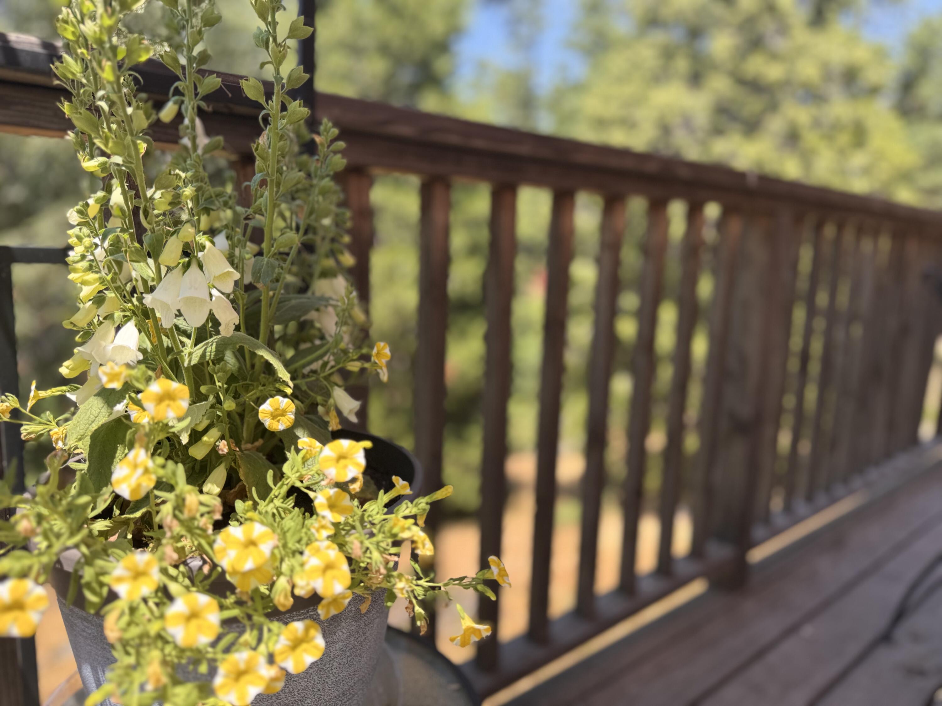 51911 Hogback Rd, Miramonte, CA 93641