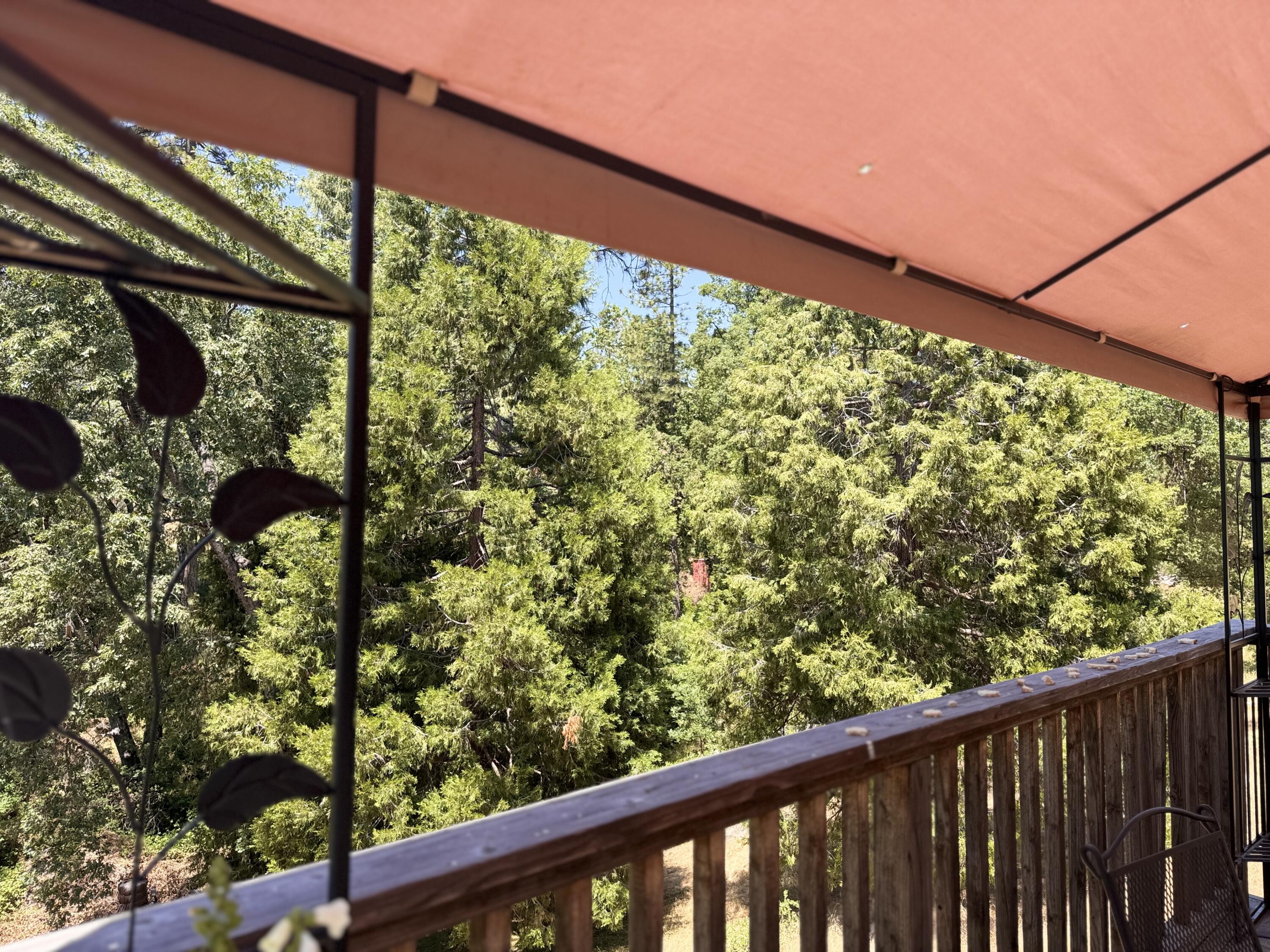 51911 Hogback Rd, Miramonte, CA 93641