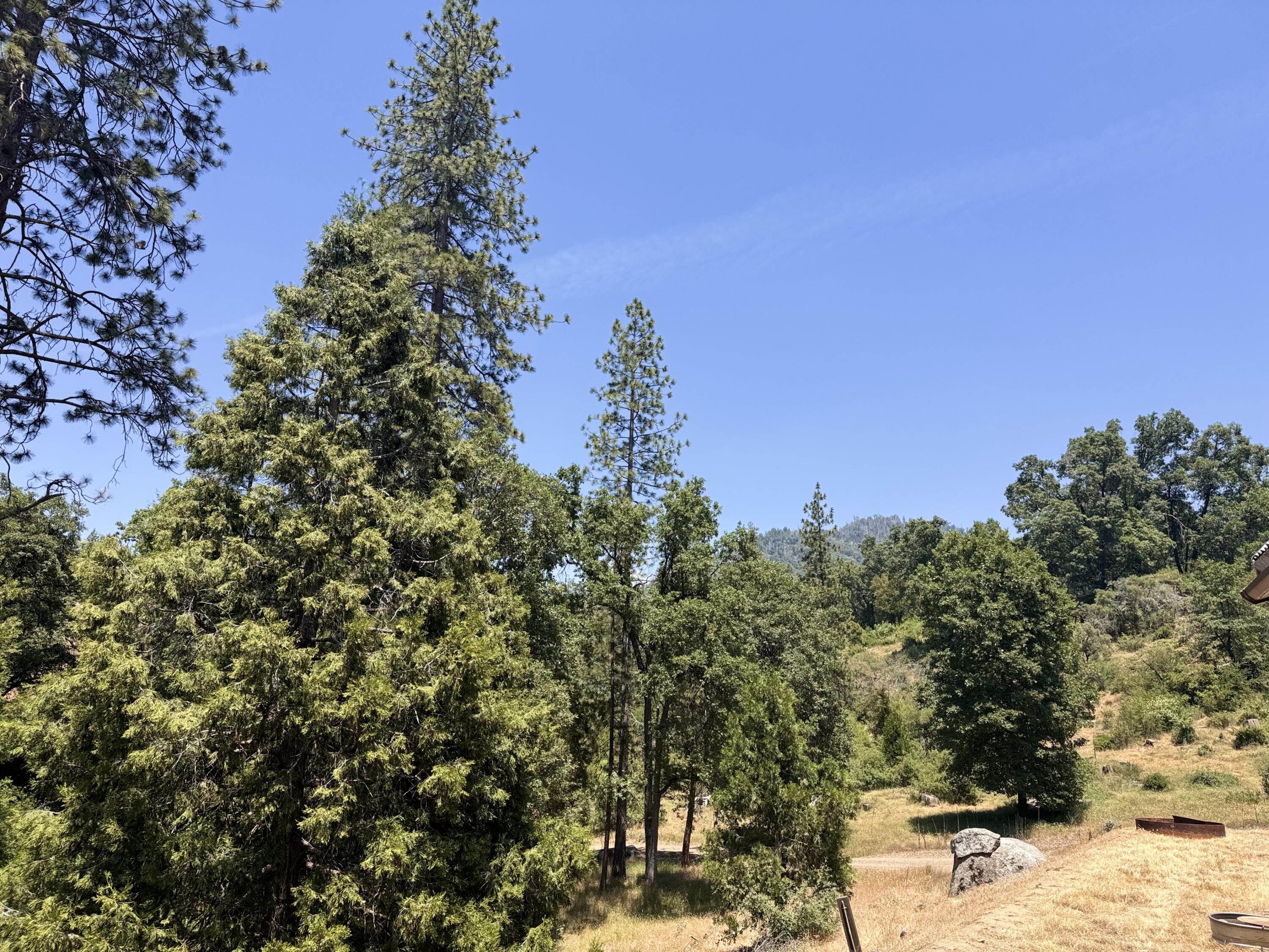 51911 Hogback Rd, Miramonte, CA 93641