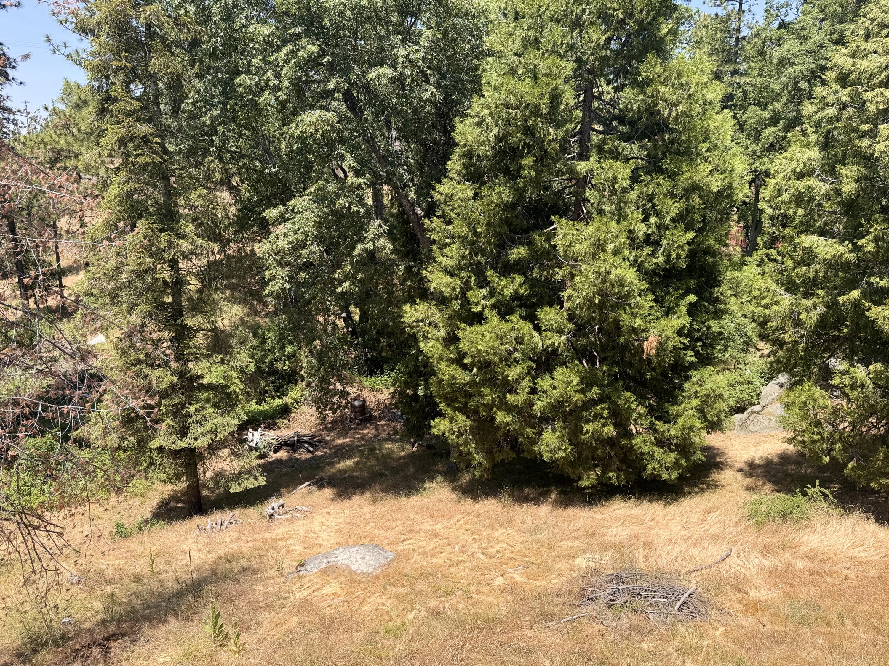 51911 Hogback Rd, Miramonte, CA 93641